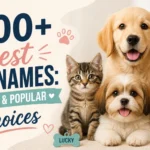 400+ Best Pet Names: Unique & Popular Choices