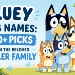 Bluey Dog Names: 100+ Picks from the Beloved Heeler Family